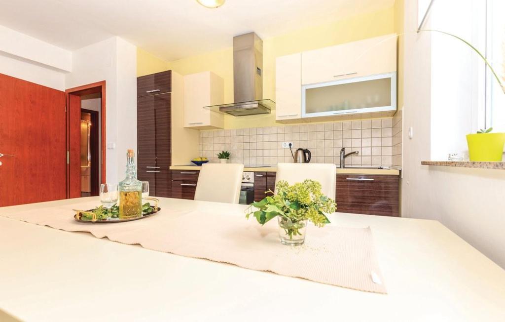 Apartment Sofia ツリクヴェニツァ エクステリア 写真